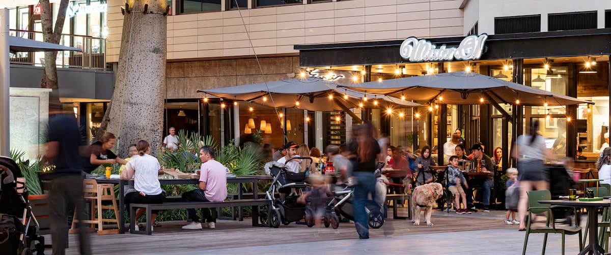 Stay in the Loop with CocoWalk!